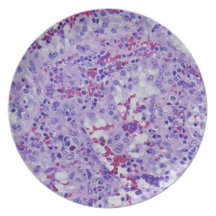 Purplescope Party Plate