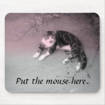 Put the mouse here mouse mat