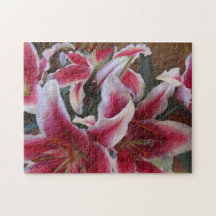 Puzzle--Stargazers-1