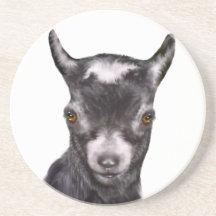 Pygmy Goat Sandstone Coaster