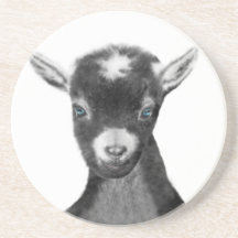 Pygora Goat Sandstone Coaster