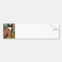 Quarter Horse Bumper Sticker