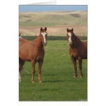 Quarter Horse Herd Greeting Card