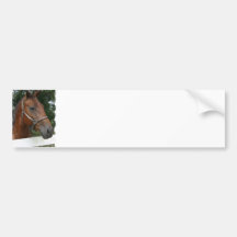 Quarter Horse Photo Bumper Sticker