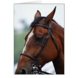 Quarter Horse Profile Greeting Card