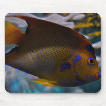 Queen Angel Fish Mousemat