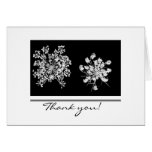 Queen Anne Lace Thank You Card
