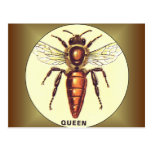 Queen Bee Postcards
