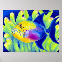 Queen Triggerfish Print