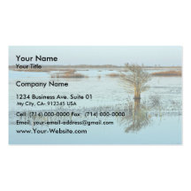 Quiet evening in the wetlands business card