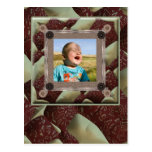 Quilt Enthusiast Photo Template Postcard