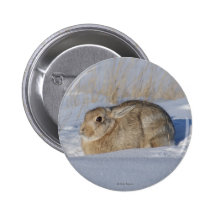 R0005 Cottontail Rabbit Button
