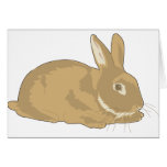Rabbit Greeting Card