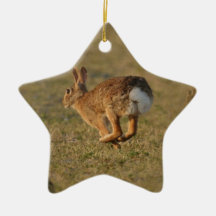 Rabbit Hopping Ornament