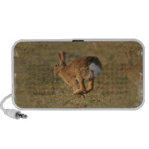 Rabbit Hopping Portable Speakers