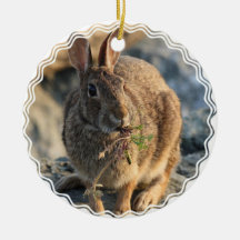 Rabbit Ornament