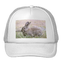Rabbit Picture Mesh Hat