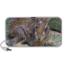 Rabbit Picture Speakers