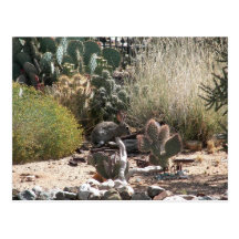 Rabbit Postcard