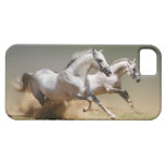 Race The Wind Horses iPhone 5 Case