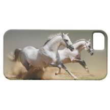 Race The Wind Horses iPhone 5 Case