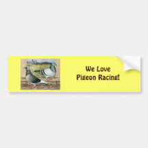 Racing Homers in Loft Bumper Sticker