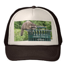 racoon, chillin like a villian trucker hat