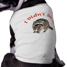 Racoon Dog T Shirt