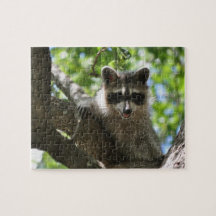 Racoon - Jigsaw Puzzle