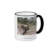 Racoon mug - Procyon lotor