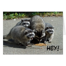 Racoon Mum Plus 3 Cards