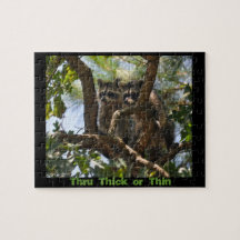 Racoon Puzzle - Thru Thick or Thin