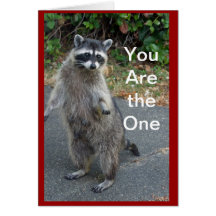 Racoon Valentine Card