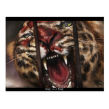 Rage in a Cage painting postcard