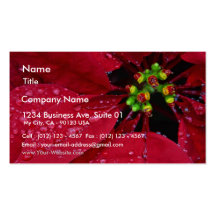 Rain At Balboa Park Business Card Template