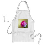 Rain Drop Kisses of Nature on Pink Rose Aprons