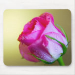 Rain Drop Kisses of Nature on Pink Rose Mousepads
