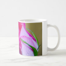 Rain Drop Kisses of Nature on Pink Rose Mug