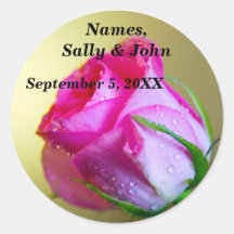 Rain Drop Kisses of Nature on Pink Rose Round Stickers