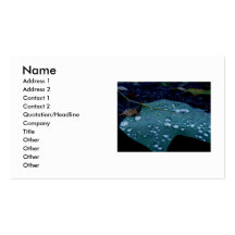 Rain Drops Business Card