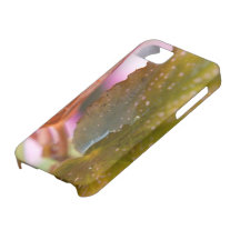Rain Wet Autumn Fall Leaves iPhone 5 Covers