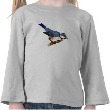 Raina Robin T-shirts