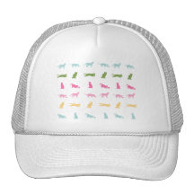 Rainbow Cat Pattern Hat