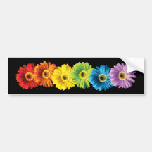 Rainbow Daisies Bumper Stickers