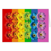 Rainbow Daisies Cards