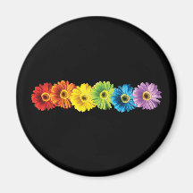 Rainbow Daisies Fridge Magnets