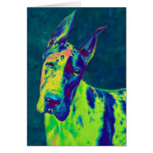 rainbow dane greeting cards