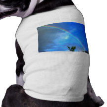 Rainbow Doggie Shirt
