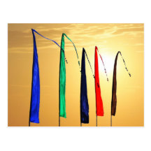 Rainbow Flags and Golden Sky Postcard