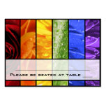Rainbow Flower Placecards Business Card